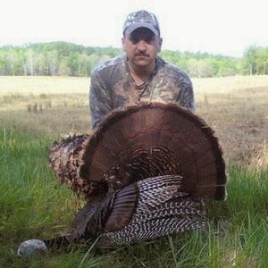 Meet your Posher, Rusty